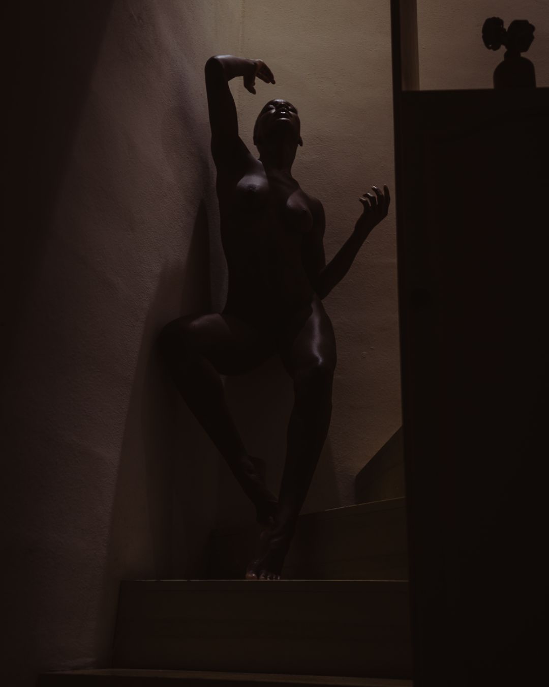 Pivot Pixie poses nude for room noir